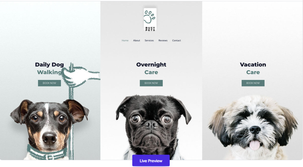 Astra – Pet Care WordPress Theme