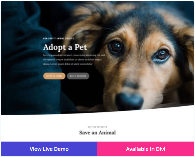 Divi – Animal Shelter Pet Shop WordPress Theme